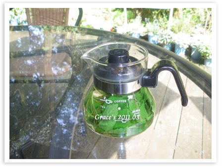 香草茶飲.jpg