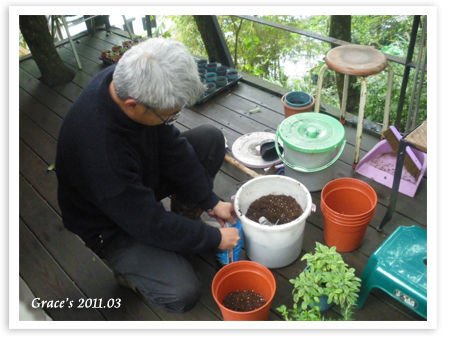 組合盆栽_土和肥料.jpg