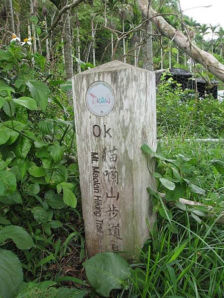 日月潭猫囒山步道 (15).JPG