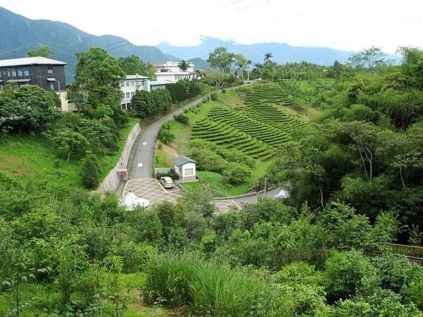 日月潭猫囒山步道 (18).JPG