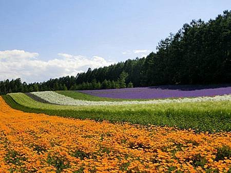 富田農場