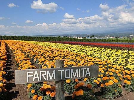 富田農場