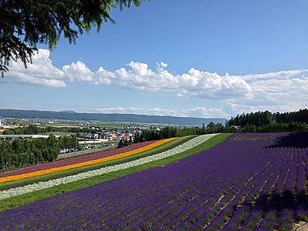 富田農場