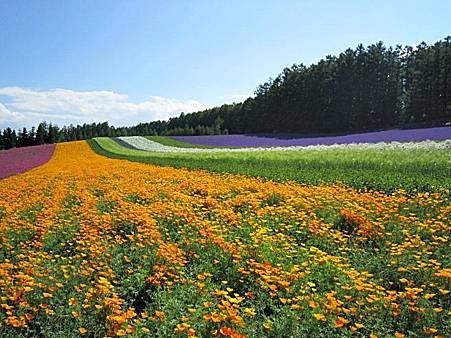 富田農場