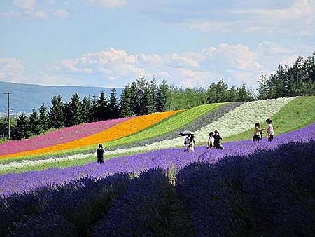 富田農場