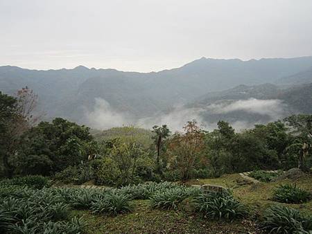 尖石6跪花園