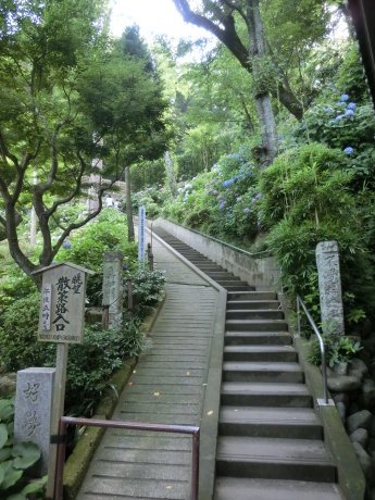 長谷觀音寺