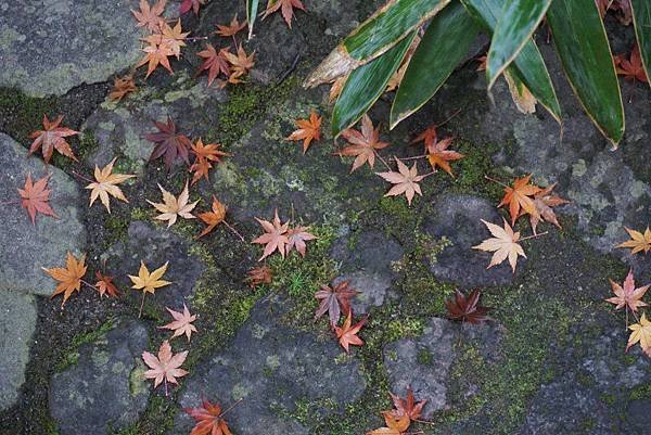 御宿ぬるかわ温泉