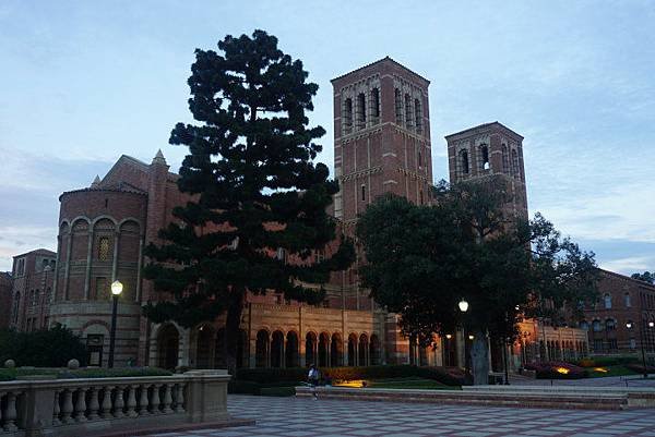 UCLA大學