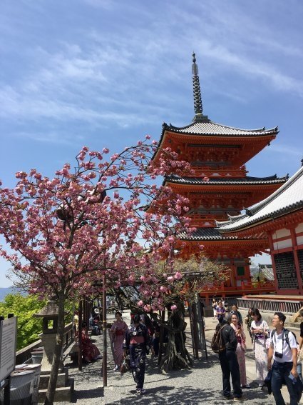 京都清水寺