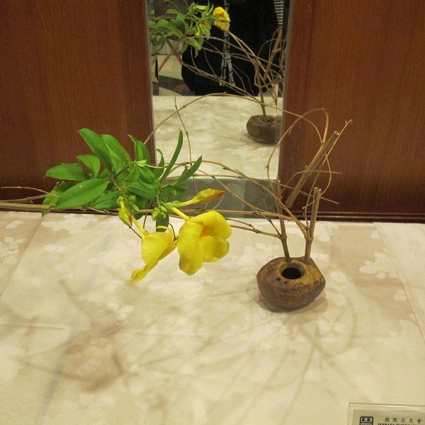 IMG_3261-s
