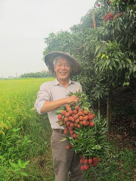 採荔枝 012_調整大小