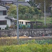 DSC01833.JPG