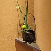 DSC01883.JPG