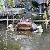 DSC01936.JPG