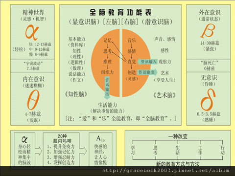 alpha波如水濕潤右腦穿透theta與delta開發全腦.png