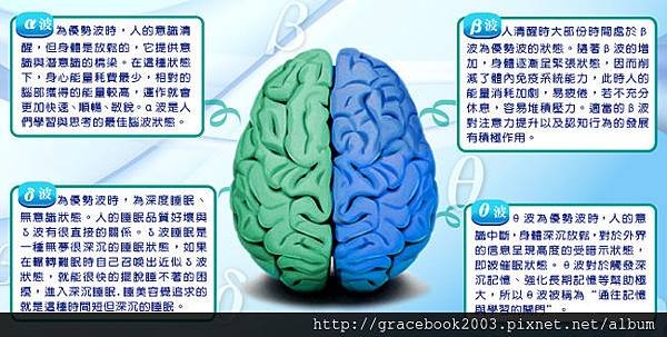 brain_image008.jpg