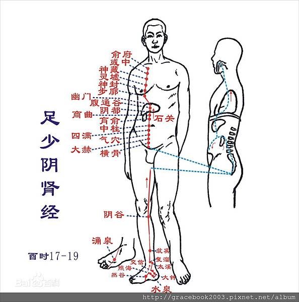 足少陰腎經.jpg