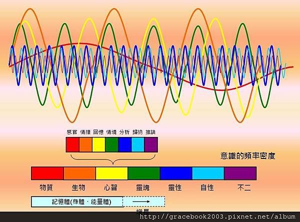 意識的頻率結構.jpg