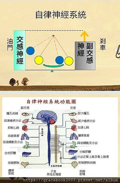 MOYA藥草精油＆溫泉浴鹽_181030_0056.jpg