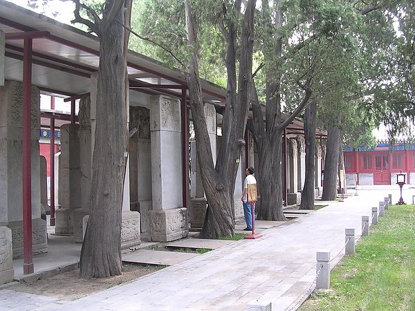 DSCN4777.JPG