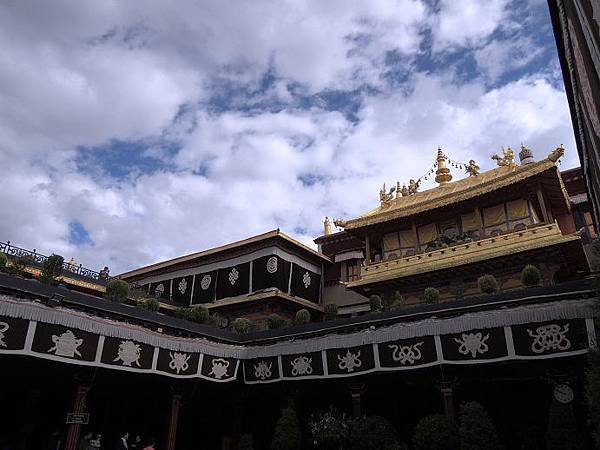 DSCN8436.jpg