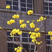 05.JPG