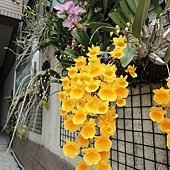 09.jpg