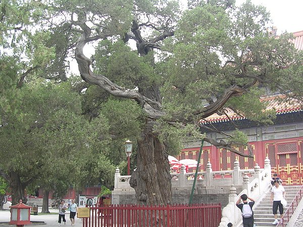 DSCN4881.JPG