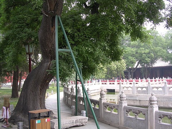 DSCN4841.JPG