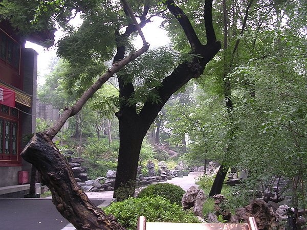 DSCN5251.JPG