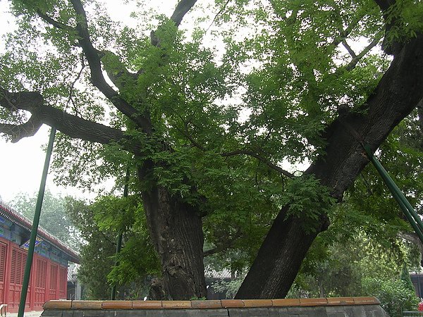 DSCN4792.JPG