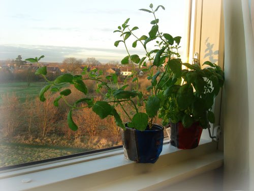 DSC01700-1.jpg