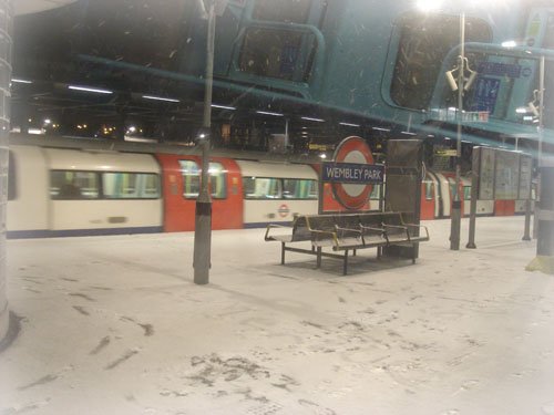 DSC01801-1.jpg
