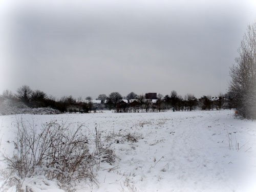 DSC01825-1.jpg