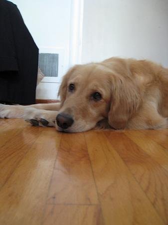 IMG_2621small.JPG