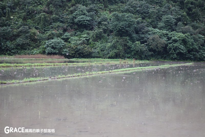 寒假暑假周休2日放假溜小孩親子旅行旅遊好玩景點分享推薦行程-北部親子景點宜蘭-橫山頭休閒農業區一二日遊懶人包推薦-食農二日遊農村再生二日遊交通地圖吃美食住宿懶人包-親子DIY體驗-舊名蓮成觀光休閒農場-新名內城生態園區-大自然教室-DIY芋泥球-戶外野炊-網抓七彩魚-台灣旅遊美食親子部落客grace媽媽的親子部落格