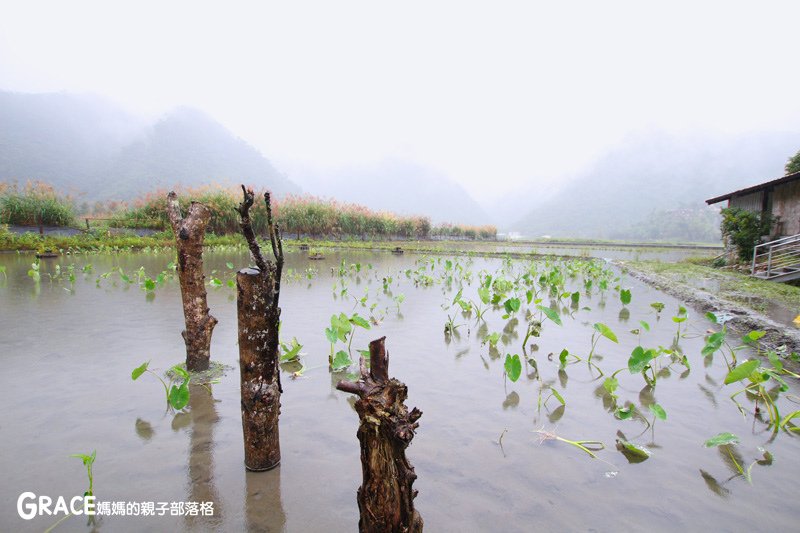 寒假暑假周休2日放假溜小孩親子旅行旅遊好玩景點分享推薦行程-北部親子景點宜蘭-橫山頭休閒農業區一二日遊懶人包推薦-食農二日遊農村再生二日遊交通地圖吃美食住宿懶人包-親子DIY體驗-舊名蓮成觀光休閒農場-新名內城生態園區-大自然教室-DIY芋泥球-戶外野炊-網抓七彩魚-台灣旅遊美食親子部落客grace媽媽的親子部落格