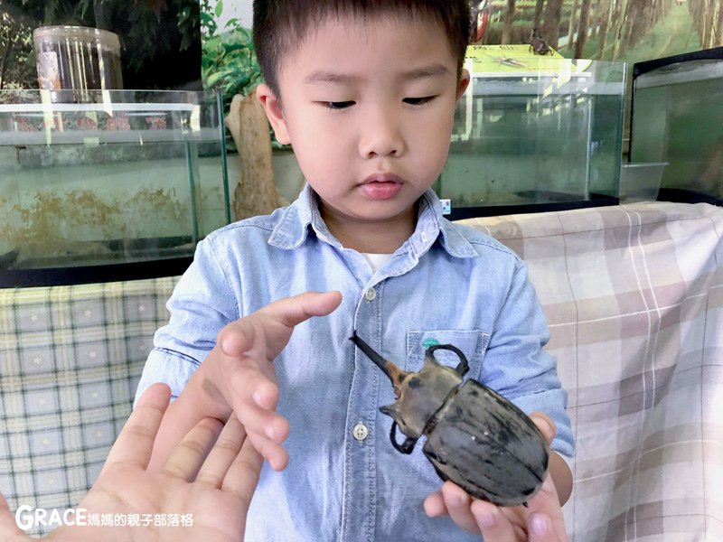 寒假暑假周休2日放假溜小孩親子旅行旅遊景點分享推薦行程-北部親子景點宜蘭-橫山頭休閒農業區一二日遊懶人包推薦-食農二日遊農村再生二日遊交通地圖吃美食住宿懶人包-親子DIY體驗-內城生態園區-蓮成觀光休閒農場-鳳凰宿甲蟲生態民宿-蘭城花事休閒農場-太陽埤果園-太陽湖畔咖啡館-鄉間雅築民宿-鐵牛力阿卡遊內城-台灣旅遊美食親子部落客grace媽媽的親子部落格