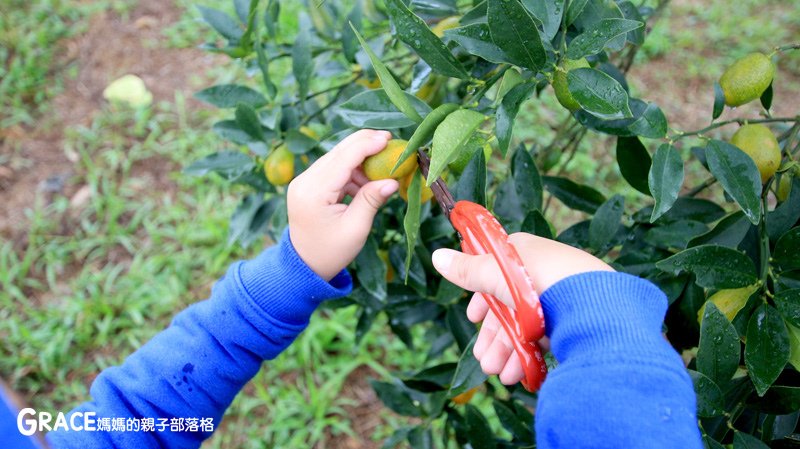 寒假暑假周休2日放假溜小孩親子旅行旅遊景點分享推薦行程-北部親子景點宜蘭-橫山頭休閒農業區一二日遊懶人包推薦-食農二日遊農村再生二日遊交通地圖吃美食住宿懶人包-親子DIY體驗-內城生態園區-蓮成觀光休閒農場-鳳凰宿甲蟲生態民宿-蘭城花事休閒農場-太陽埤果園-太陽湖畔咖啡館-鄉間雅築民宿-鐵牛力阿卡遊內城-台灣旅遊美食親子部落客grace媽媽的親子部落格