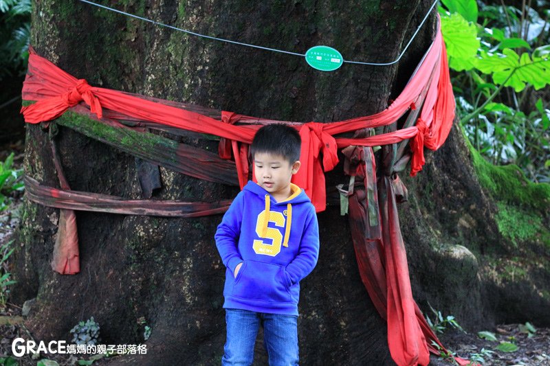 寒假暑假周休2日放假溜小孩親子旅行旅遊景點分享推薦行程-北部親子景點宜蘭-橫山頭休閒農業區一二日遊懶人包推薦-食農二日遊農村再生二日遊交通地圖吃美食住宿懶人包-親子DIY體驗-鐵牛力阿卡遊內城社區-環保袋DIY-鐵牛車筆筒DIY-台灣旅遊美食親子部落客grace媽媽的親子部落格