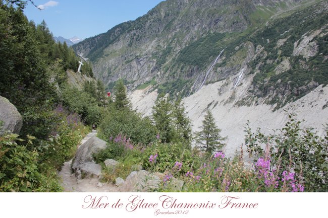 Mer de Glace027