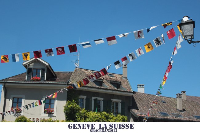 suisse024