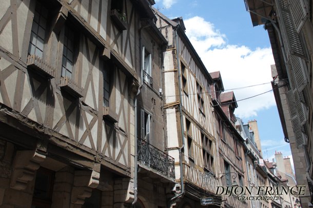 Dijon024