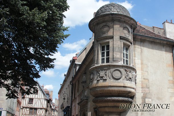 Dijon035