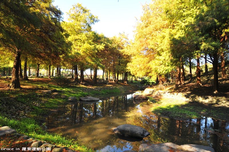 羅東運動公園~我是葛瑞絲2010.12.13