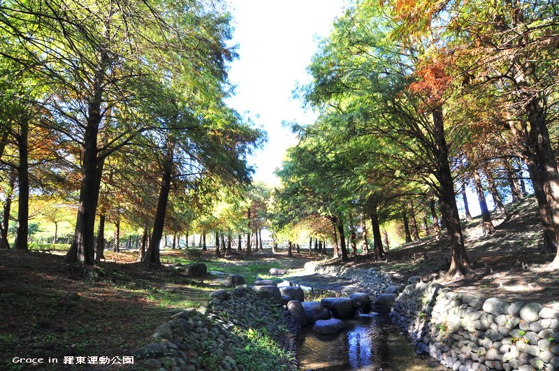 羅東運動公園~我是葛瑞絲2010.12.13