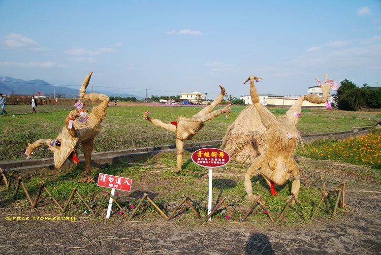 2010三星花田~我是宜蘭民宿小管家葛瑞絲