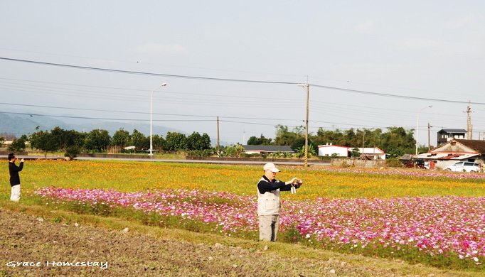 2010三星花田~我是宜蘭民宿小管家葛瑞絲