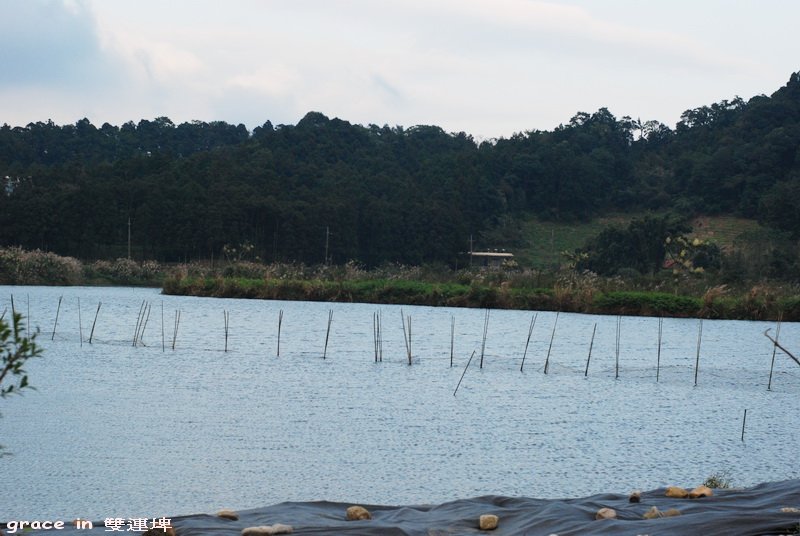 宜蘭旅遊~雙連埤~在那河畔青草青~